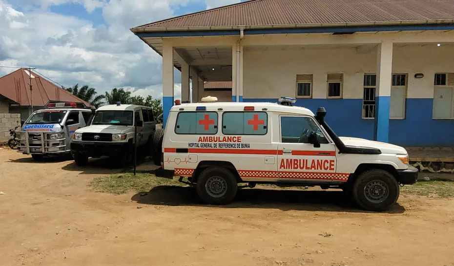Ebola salgını. 10 Afrika ülkesi risk altında
