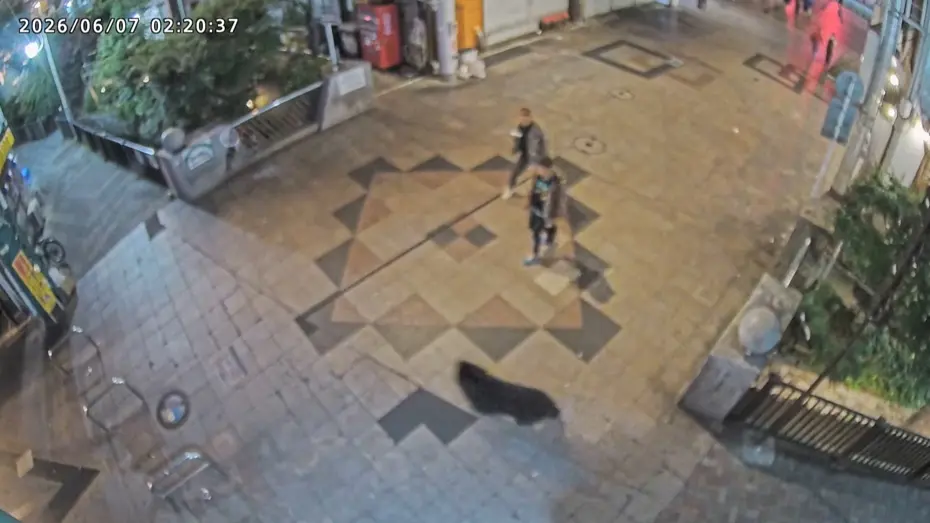 Japonya'da kayıp ayı aranıyor. 94 okul kapatıldı