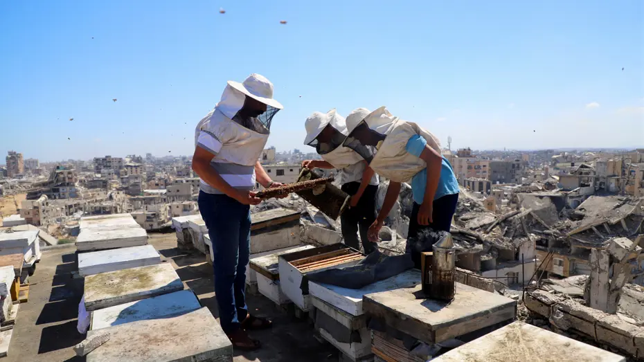 Gazze'de bir meslek yok oluyor. 30 bin tane vardı, geriye 700'ü kaldı