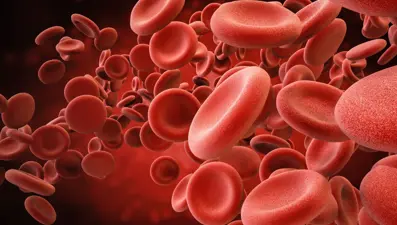Hematoloji nedir? (Hematoloji bölümü hangi hastalıklara bakar?)