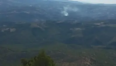 Manisa'da orman yangını