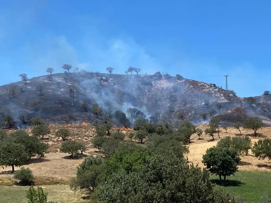 Çanakkale'de makilik alanda korkutan yangın Çanakkale'de makilik alanda korkutan yangın