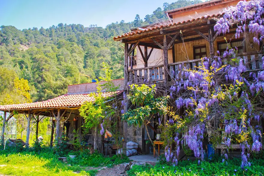 Ekolojik tatil, doğa tatili, Ataol Çiftliği, Avanos, bağ bozumu festivali, Bozcaada, doğal tatlar, Ekolojik, ekolojik tatil noktaları, Ekolojik Tatil Rotaları, Ekolojik yaşam, Fethiye, Hızır Kamp, Kapadokya, Kapor Organik Çiftlik Evi, Kaz Dağları, Kocaeli Kandıra, Narköy, organik tarım, organik tarım çiftliği, Pastoral Vadi, şehir hayatı, sürdürülebilir turizm merkezi, Tatil, Tatil Rotaları, Tekirbahçe, turistik yerler, Türkiye ekolojik tatil yerleri, Türkiye’nin Ekolojik Tatil Rotaları, Yanıklar Köyü, Zeytinli Çayı 10
