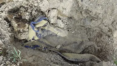 İstanbul'dan Nevşehir'e uzanan cinayet: 4 kişi tutuklandı