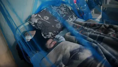 Sağlık Bakanlığı'ndan sivrisinekten korunma rehberi (Sivrisinekten nasıl korunulur?)