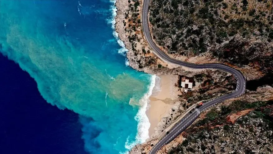 PLANKTON PATLAMASININ NEDENİ 2