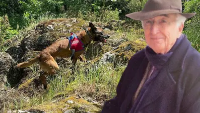 Alan taraması 5'inci günde de devam ediyor: Arama köpeği kafatası parçası buldu