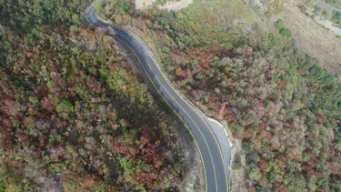 Ganos Dağı eteklerindeki ormanlarda sonbahar renkleri