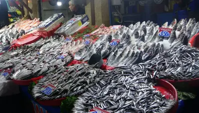 Tezgahlarda mezgit ve istavrit bolluğu