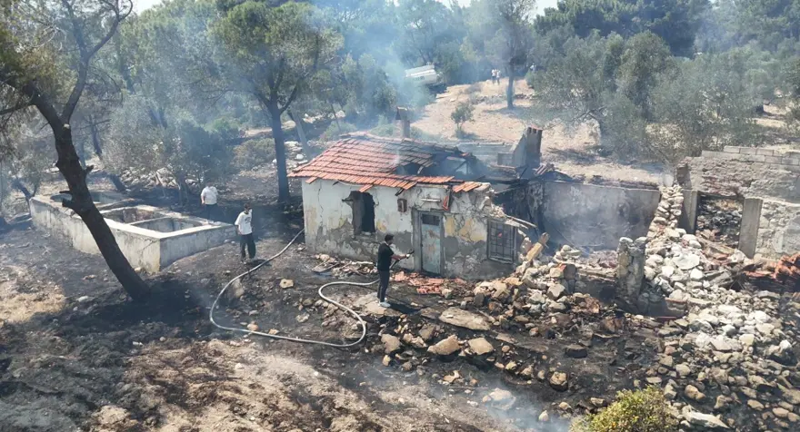 İzmir'de orman yangını: İki ev zarar gördü 2
