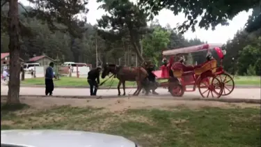 Faytancu eziyeti kamerada