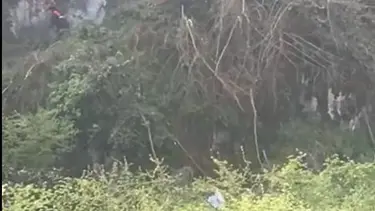 Ağaç keserken ölümden döndü