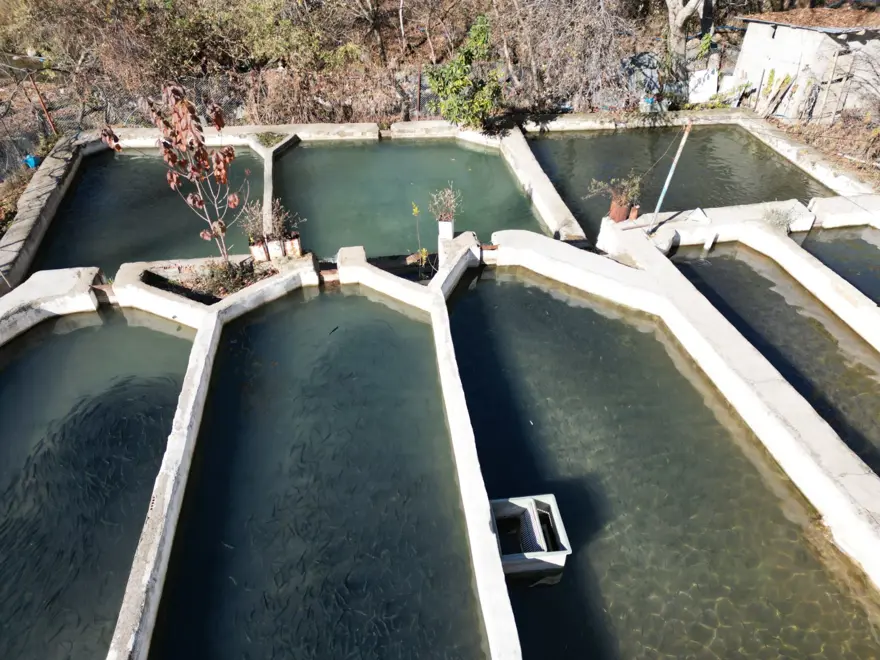 Sıfır noktasında 25 bin ton üretiyor: 5 aileye ekmek kapısı oluyor 6