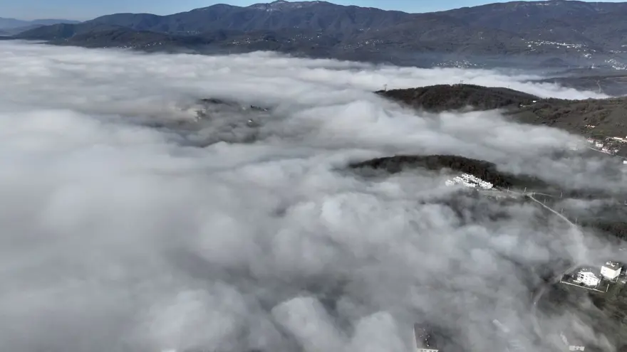 Düzce'de sis etkili oldu 1