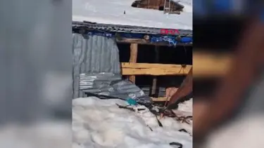 Rize’de kış uykusundan uyanan ayılar 30 eve zarar verdi