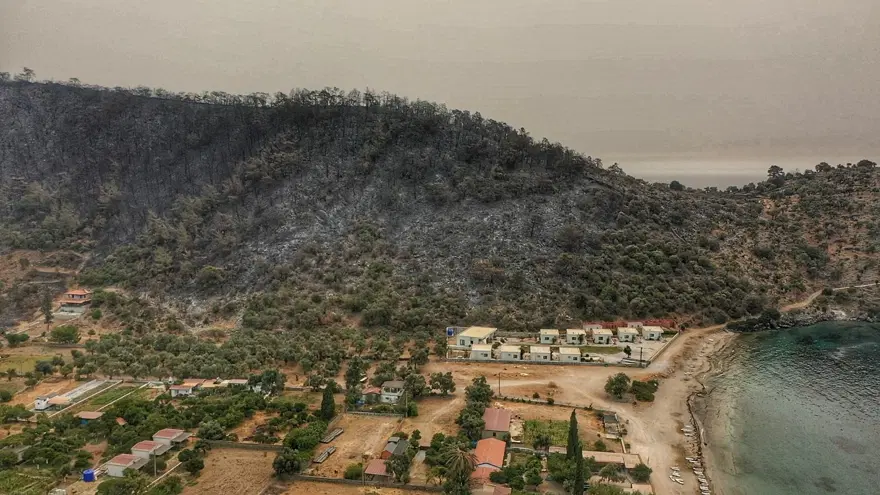Bodrum ve Milas'ta yanan alanlar havadan görüntülendi 1 Bodrum ve Milas'ta yanan alanlar havadan görüntülendi 1