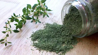 Meme kanserinde 'kekik' etkisi