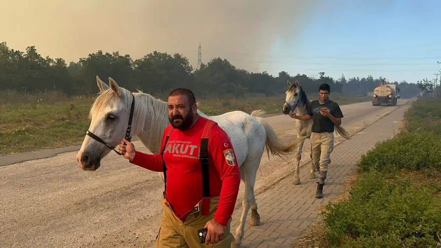 Bursa'da kampüse sıçrayan yangın kontrol altında: Cumhuriyet Başsavcılığı soruşturma başlattı 4