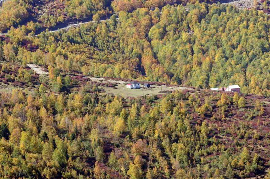 Trabzon-Giresun sınırındaki Sis Dağı'nda güz zamanı 9
