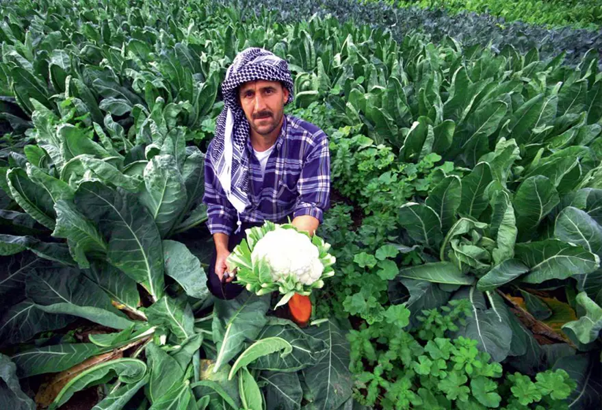 1-Organik tarım nedir? 3