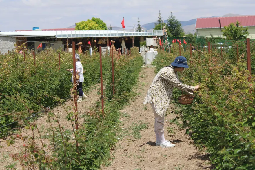 Hobi olarak başladığı işte talebe yetişemiyor 7