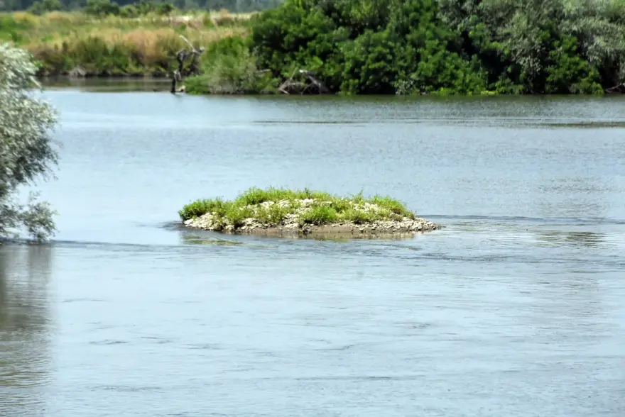 Meriç Nehri alarm veriyor | Çiftçiler endişeli 4 Meriç Nehri alarm veriyor | Çiftçiler endişeli 4