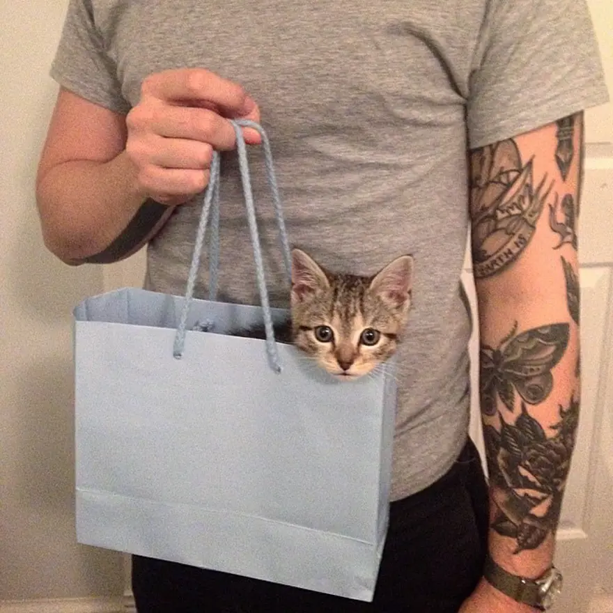 Hayatını kedileri kurtarmaya adadı 118