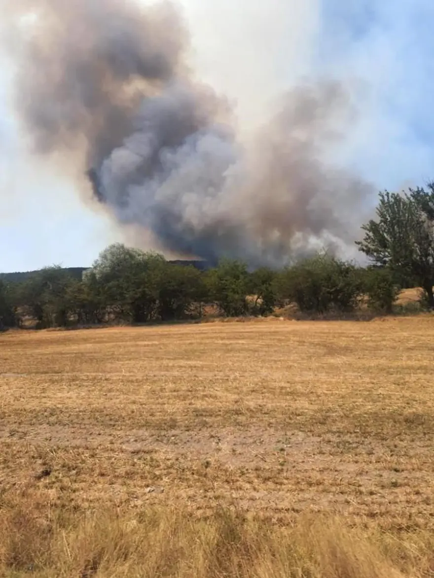 Eskişehir’de orman yangını 6