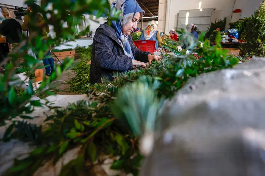 Antalyalı kadınlar Avrupa'ya Noel çelengi üretiyor 17
