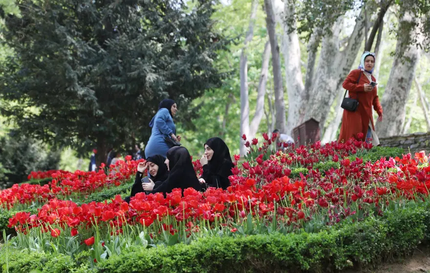 Gülhane Parkı'ndaki laleler talan edildi 