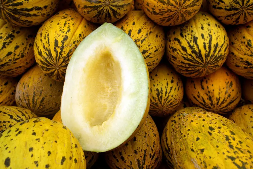 Tezgahlarda 10 liraya satılıyordu: Coğrafi işaret aldı, tescillendi 1