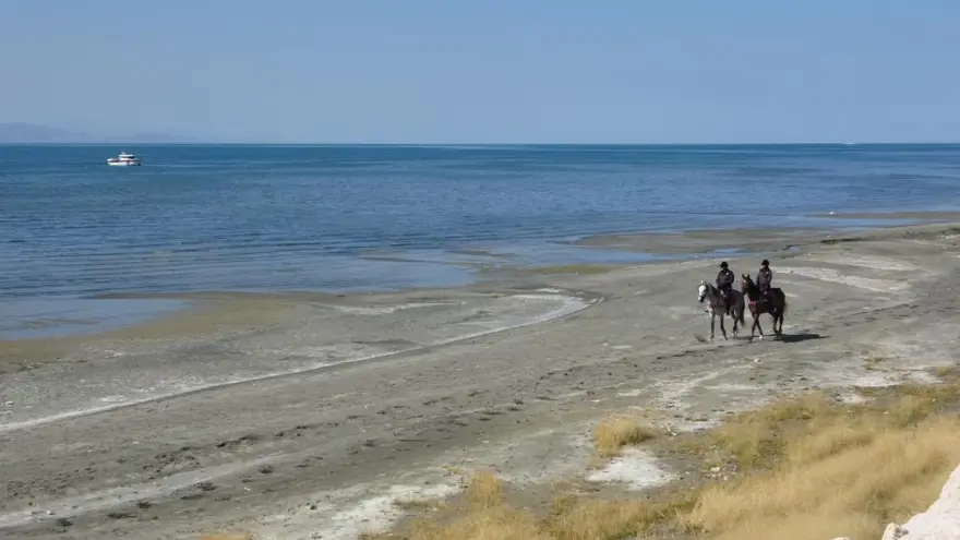 Telefonlakonuştu, bankta oturdu, bir daha haber alınamadı: Üniversiteli Rojin’i aramaçalışmaları sürüyor 7