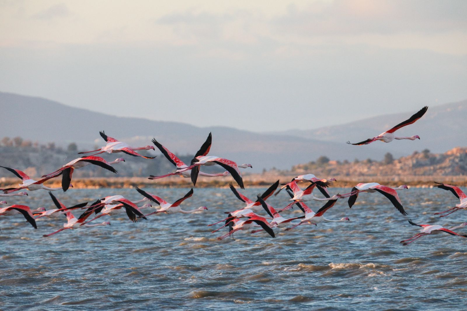 İzmir Kuş Cenneti'nden kış manzaraları