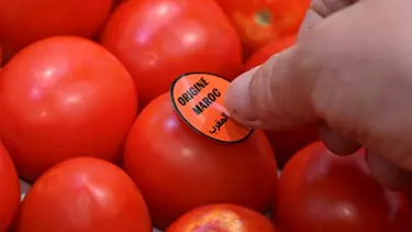 Ticaret savaşının ilk günlük kaybı: Domates
