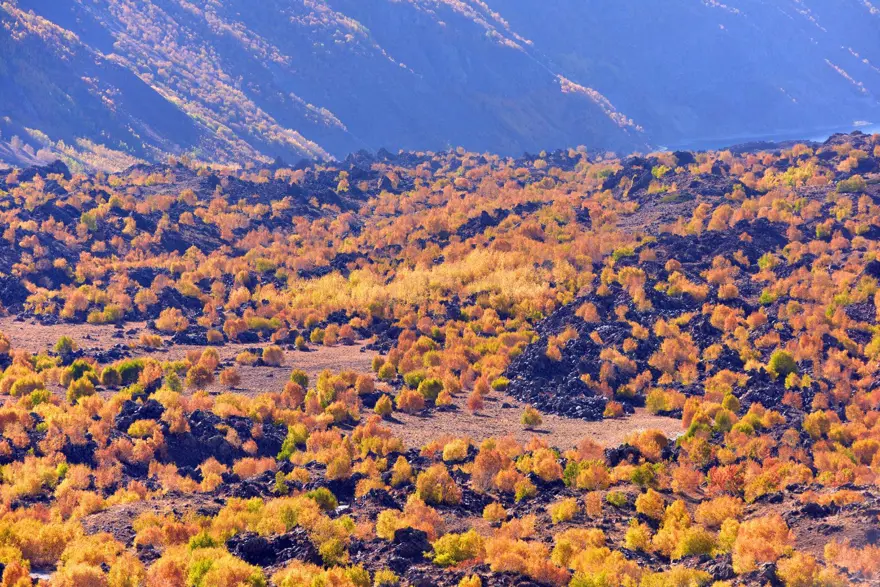 Nemrut Krater Gölü’nde sonbahar güzelliği eşliğinde çevre temizliği 13