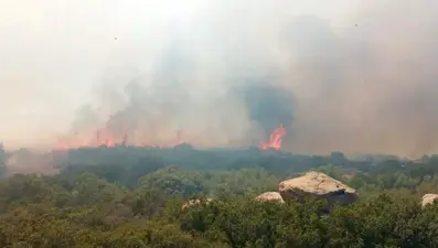 Çanakkale'deki orman yangını kontrol altında