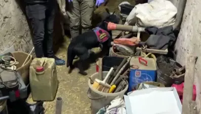Uyuşturucu operasyonu düzenlenen evden kılıç çıktı