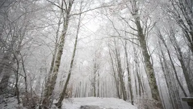 Trakya’nın yüksek kesimlerinde kar yağışı