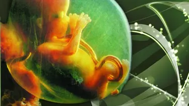 “Kordon kanından yeterince yararlanılamıyor''