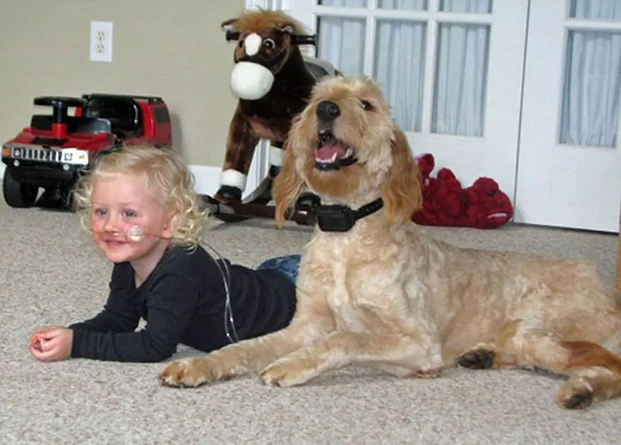 Çocuğun oksijeni köpeğin sırtında 8 Çocuğun oksijeni köpeğin sırtında 8