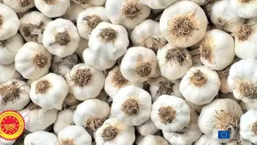 Araban sarımsağı AB tarafından tanındı