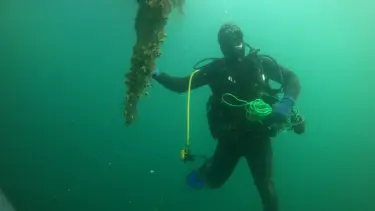 Çanakkale'de hayalet ağ temizliği