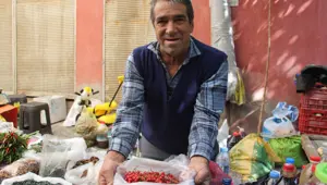 Aydın'ın dağlarında yetişiyor: "Süper yiyecek" pazara indi