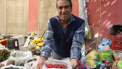 Aydın'ın dağlarında yetişiyor: "Süper yiyecek" pazara indi