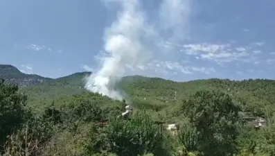 Hatay'da orman yangını