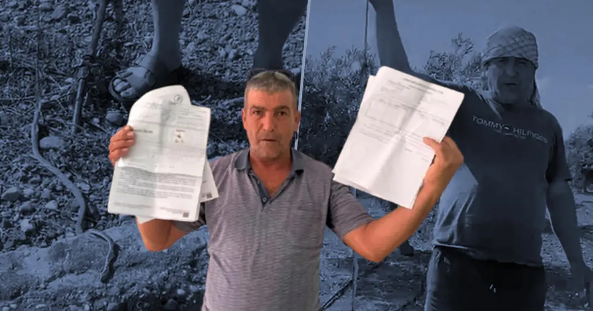 "Öldürdüm" deyip paylaşmıştı, 22 bin lira ceza gelince vazgeçti: "Zır cahilim"