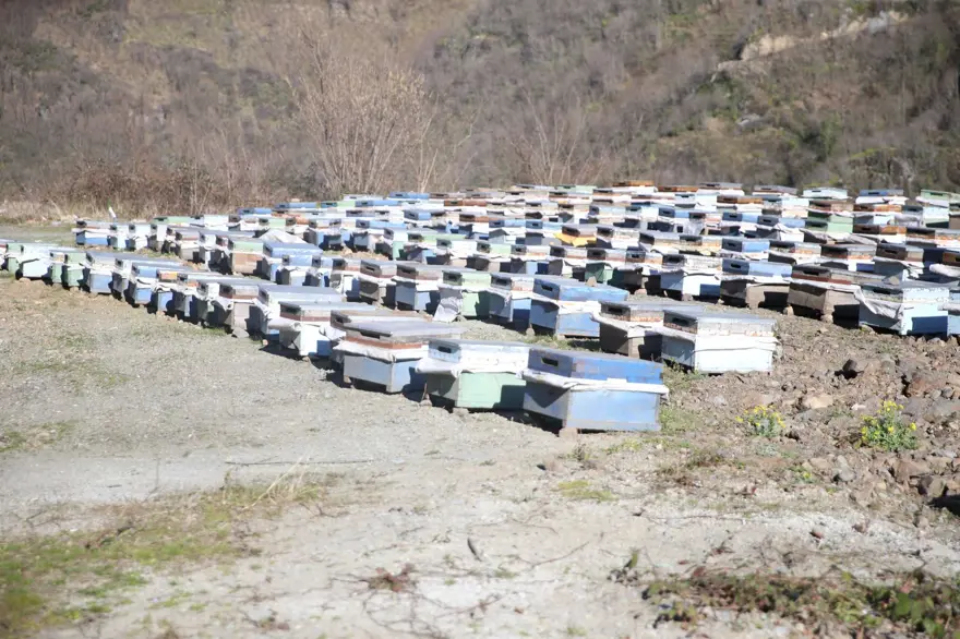 "BU MESLEK ÇOK ZOR" 4