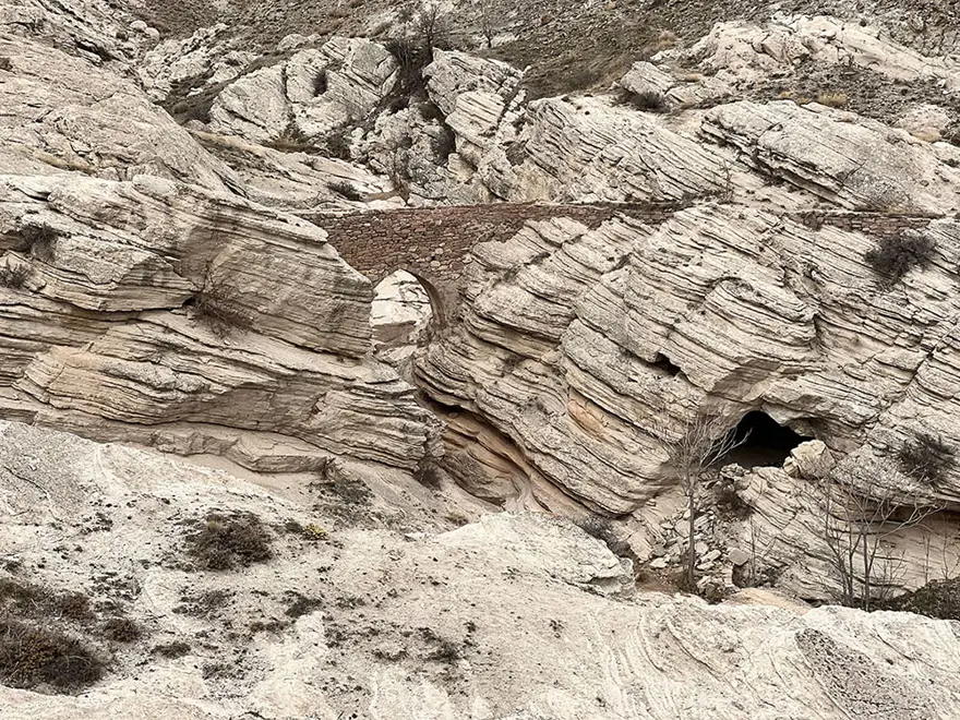 TÜRKİYE'DE SADECE İKİ TANE VAR 1