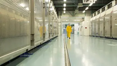 UAEA ile İran arasında iş birliği ve diyaloğun güçlendirilmesi hususunda uzlaşı sağlandı