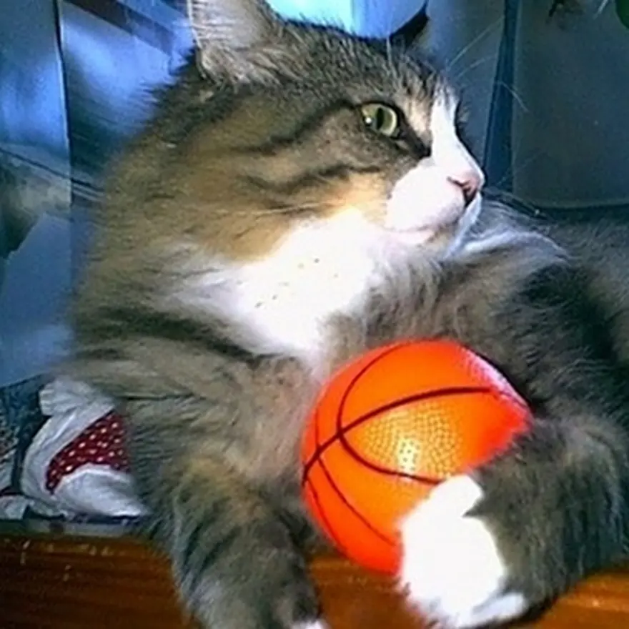 Poz verme sanatı 21